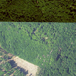 Satellite imagery of Alpstein, DE