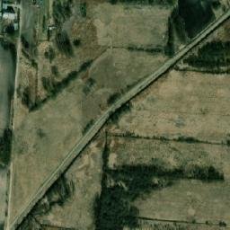 Satelita