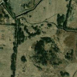 Satelita