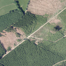 Satellite imagery of Bausenberg, DE