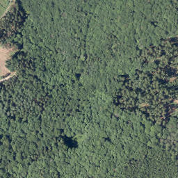 Satellite imagery of Rosenberg, DE