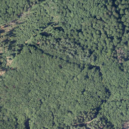 Satellite imagery of Rosenberg, DE