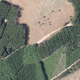 Satellite imagery of Kirchberg, DE