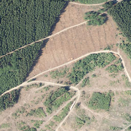 Satellite imagery of Kirchberg, DE