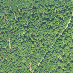 Satellite imagery of Sillbachskopf, DE