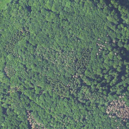 Satellite imagery of Burgberg, DE