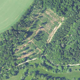 Satellite imagery of Heidenberg, DE