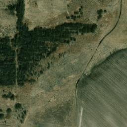 Satelita