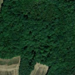 Satellite imagery of Owls, GB