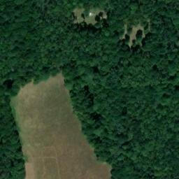 Satellite imagery of Owls, GB