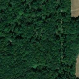 Satellite imagery of Owls, GB