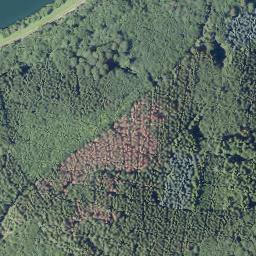 Satellite imagery of Buchhagen, DE