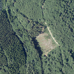 Satellite imagery of Buchhagen, DE
