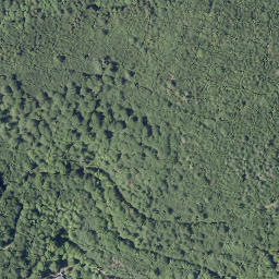 Satellite imagery of Rosenberg, DE