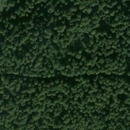 Satellite imagery of Große Bamicke, DE