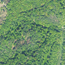 Satellite imagery of Ense, DE