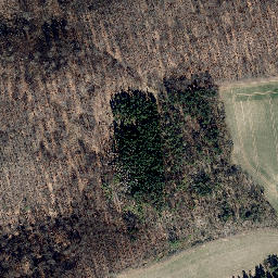 Satellite imagery of Zwickelsberg, DE