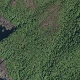 Satellite imagery of Buccleugh Point, CA