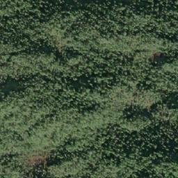 Satellite imagery of Town Point, CA
