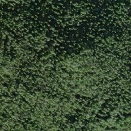 Satellite imagery of Johnson Point, CA