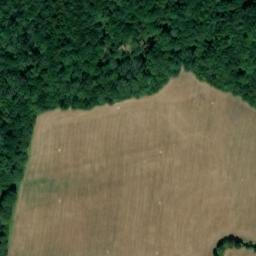 Satellite imagery of Owls, GB