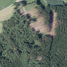 Satellite imagery of Nockelberg, DE
