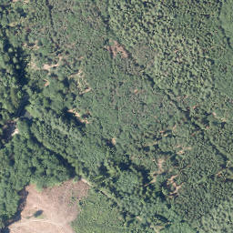Satellite imagery of Buchhagen, DE
