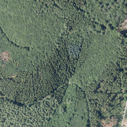 Satellite imagery of Buchhagen, DE
