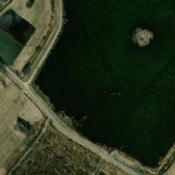 Satelita