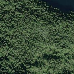 Satellite imagery of Harvell Point, CA