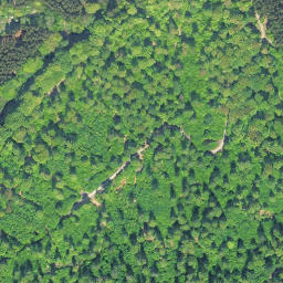 Satellite imagery of Nickelskopf, DE