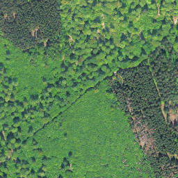 Satellite imagery of Nickelskopf, DE