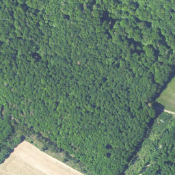 Satellite imagery of Wolfsberg, DE