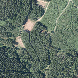 Satellite imagery of Hohe Bracht, DE