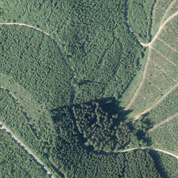 Satellite imagery of Hohe Bracht, DE