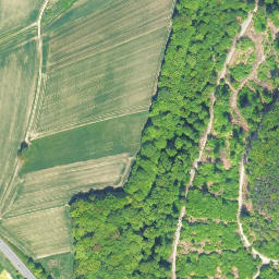 Satellite imagery of Nickelskopf, DE