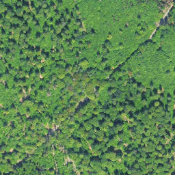 Satellite imagery of Nickelskopf, DE