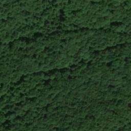 Satellite imagery of Dachsberg, DE