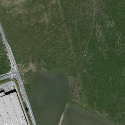 Satelita
