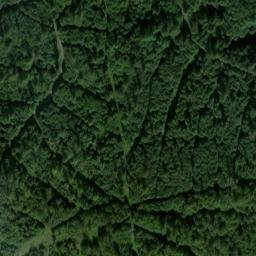 Satellite imagery of Gebrannter Rücken, DE