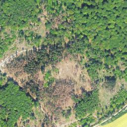 Satellite imagery of Nickelskopf, DE