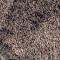 Satellite imagery of Staufelsberg, DE