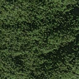 Satellite imagery of Goose Point, CA