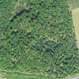 Satellite imagery of Dickersberg, DE