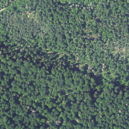 Satellite imagery of Rodenberg, DE
