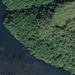 Satellite imagery of Martin Point, CA