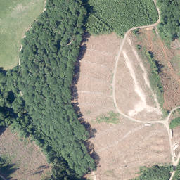 Satellite imagery of Feldberg, DE