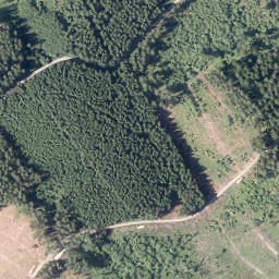 Satellite imagery of Buscheid, DE