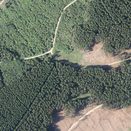 Satellite imagery of Buscheid, DE