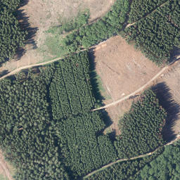 Satellite imagery of Alberstein, DE
